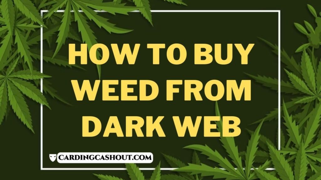 How To Buy Weed From The Dark Web 2026